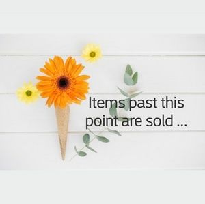 Items past this point are sold .....